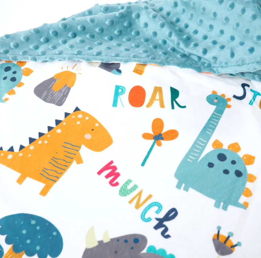 Baby & Toddler Minky Blanket - Dinoland Blue